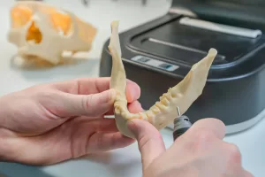 Detailed view of a 3D printed dental model being refined by a technician in a laboratory.